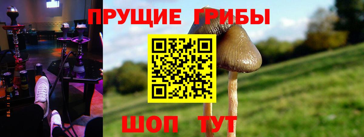Псилоцибиновые грибы Magic Shrooms  Вход с VPN  Псилоцибиновые грибы GOLDEN TEACHER  Барабинск 
